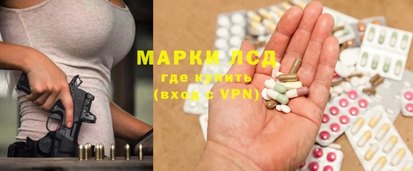 ПСИЛОЦИБИНОВЫЕ ГРИБЫ Бородино