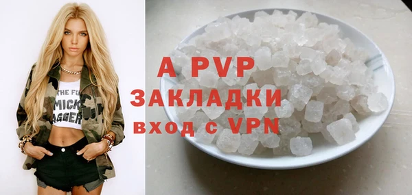 ПСИЛОЦИБИНОВЫЕ ГРИБЫ Бородино