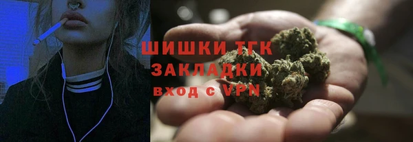 ПСИЛОЦИБИНОВЫЕ ГРИБЫ Бородино