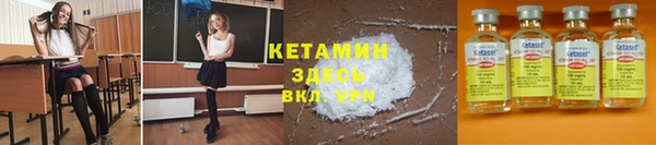 ПСИЛОЦИБИНОВЫЕ ГРИБЫ Бородино