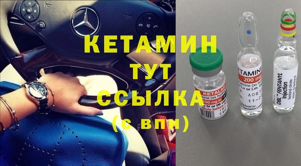 ПСИЛОЦИБИНОВЫЕ ГРИБЫ Бородино