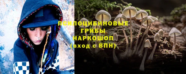 ПСИЛОЦИБИНОВЫЕ ГРИБЫ Бородино
