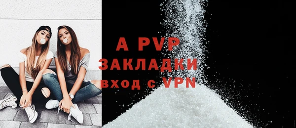 ПСИЛОЦИБИНОВЫЕ ГРИБЫ Бородино