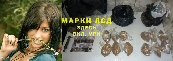 ПСИЛОЦИБИНОВЫЕ ГРИБЫ Бородино
