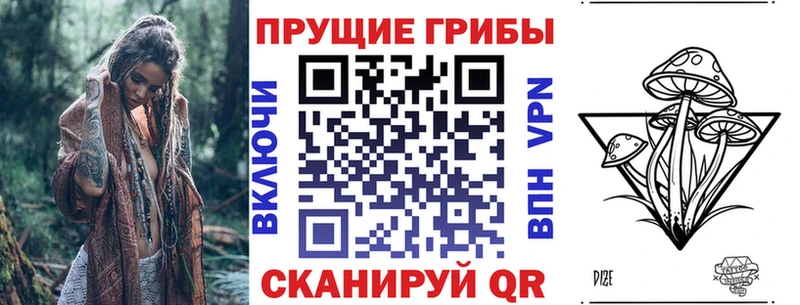 Псилоцибиновые грибы мицелий Волосово