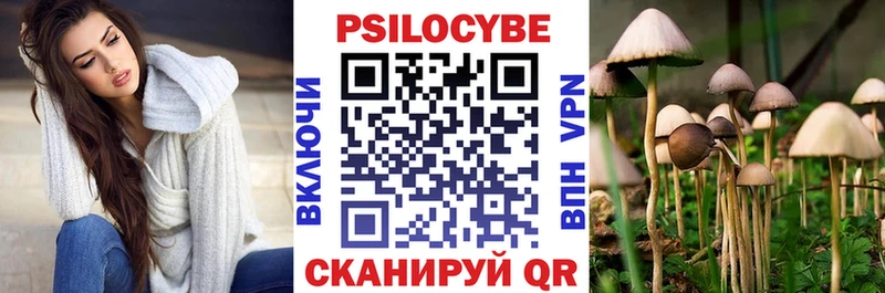 Галлюциногенные грибы Psilocybine cubensis Волосово
